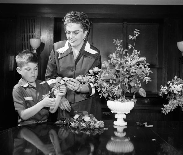 1954 - Rose society